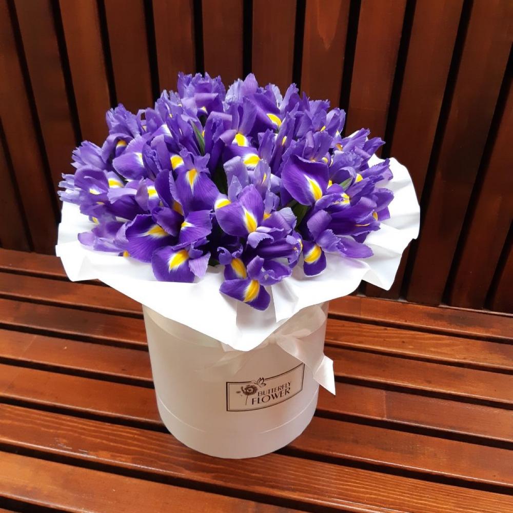 Красивый, яркий букет из 35 ирисов в белой шляпной коробке 