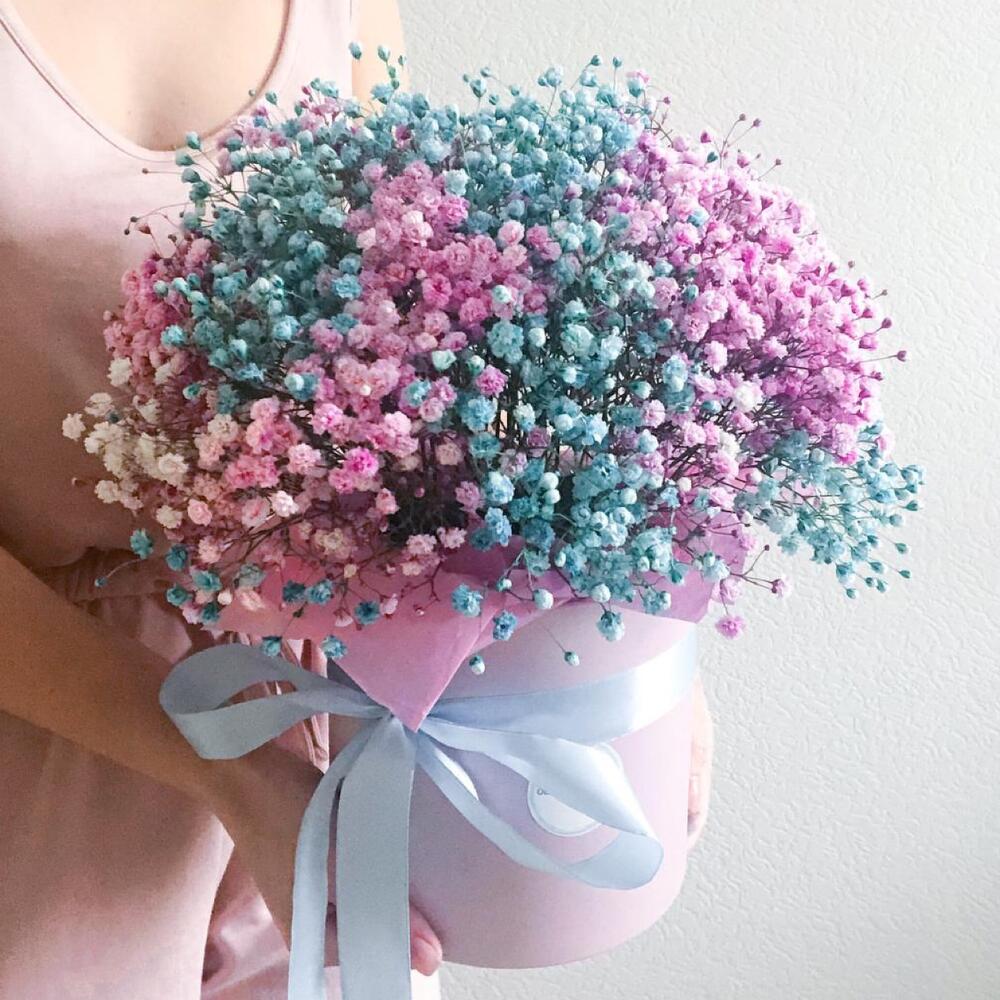 Гипсофила, Нежность