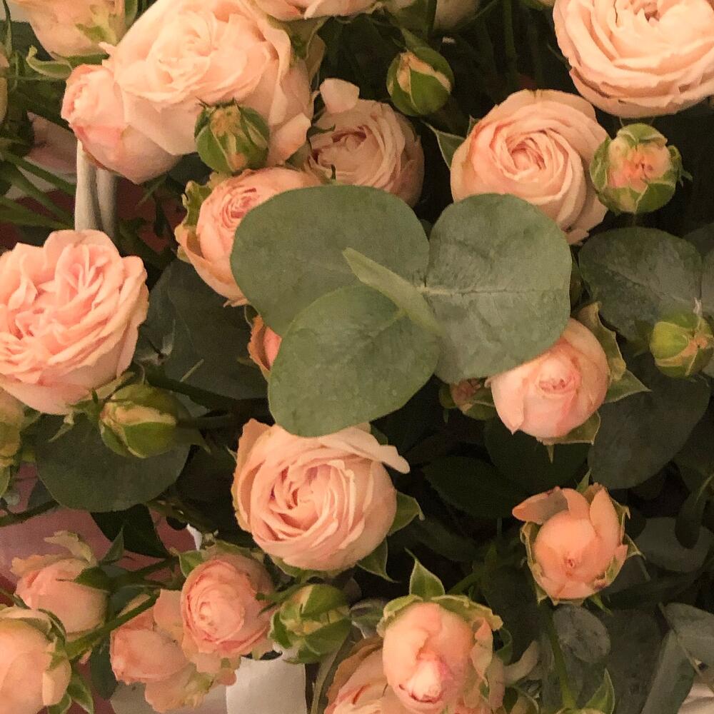 Корзина с цветами,кустовые розы