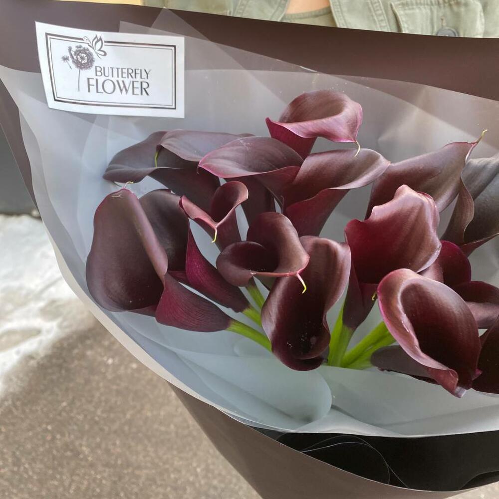 Букет из 17 бордовых калл 