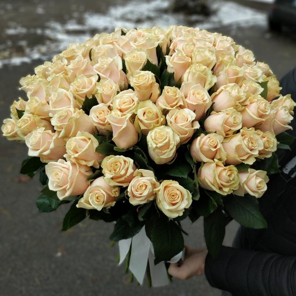 Букет 101 кремовая роза