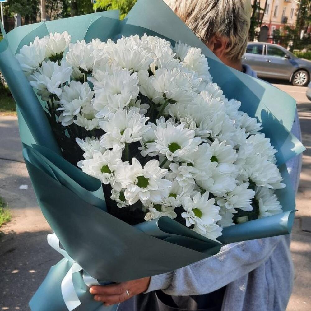 151 белая ромашка