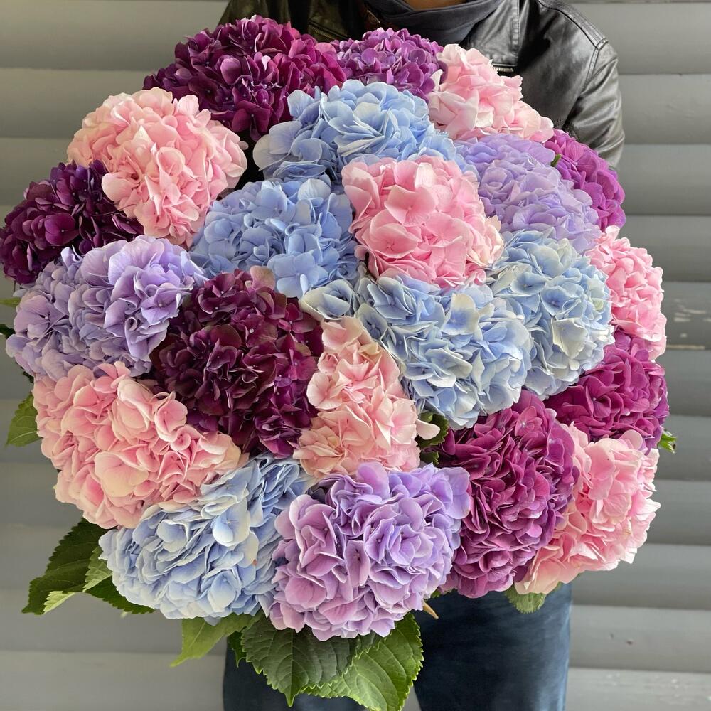 Букет из гортензий