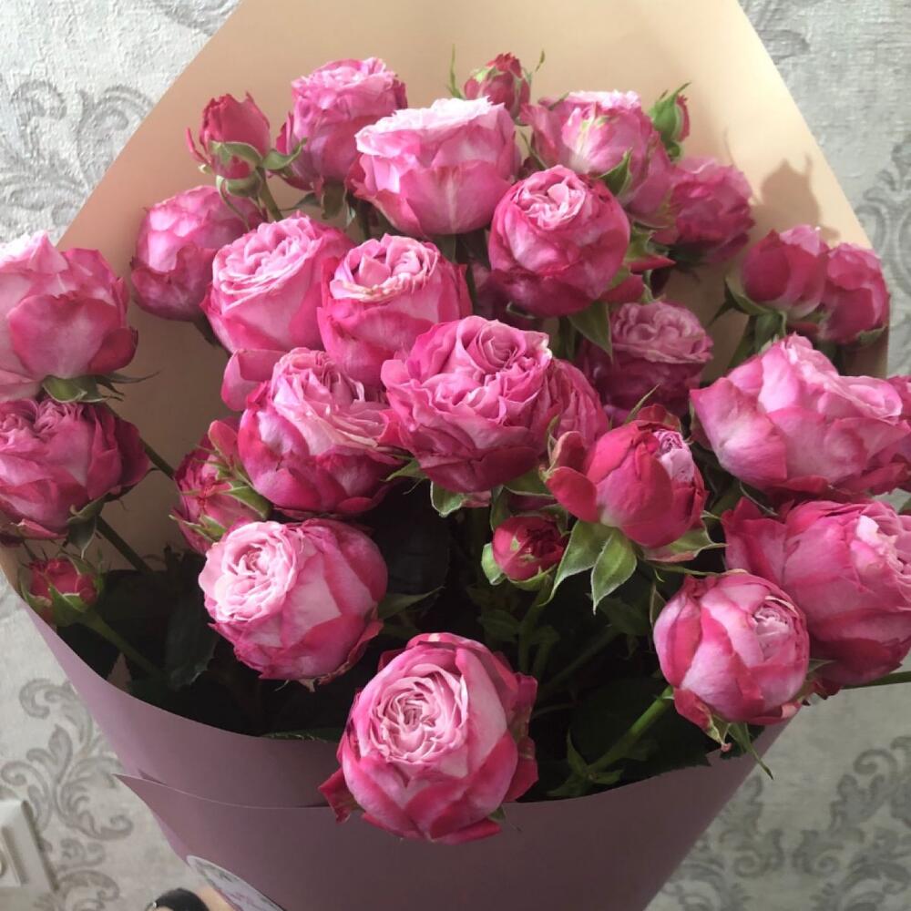 Моно букет из Мисти Бабблс с открыткой