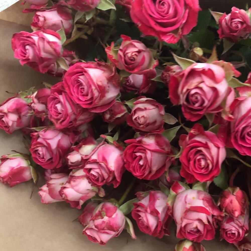 Букет из кустовых роз