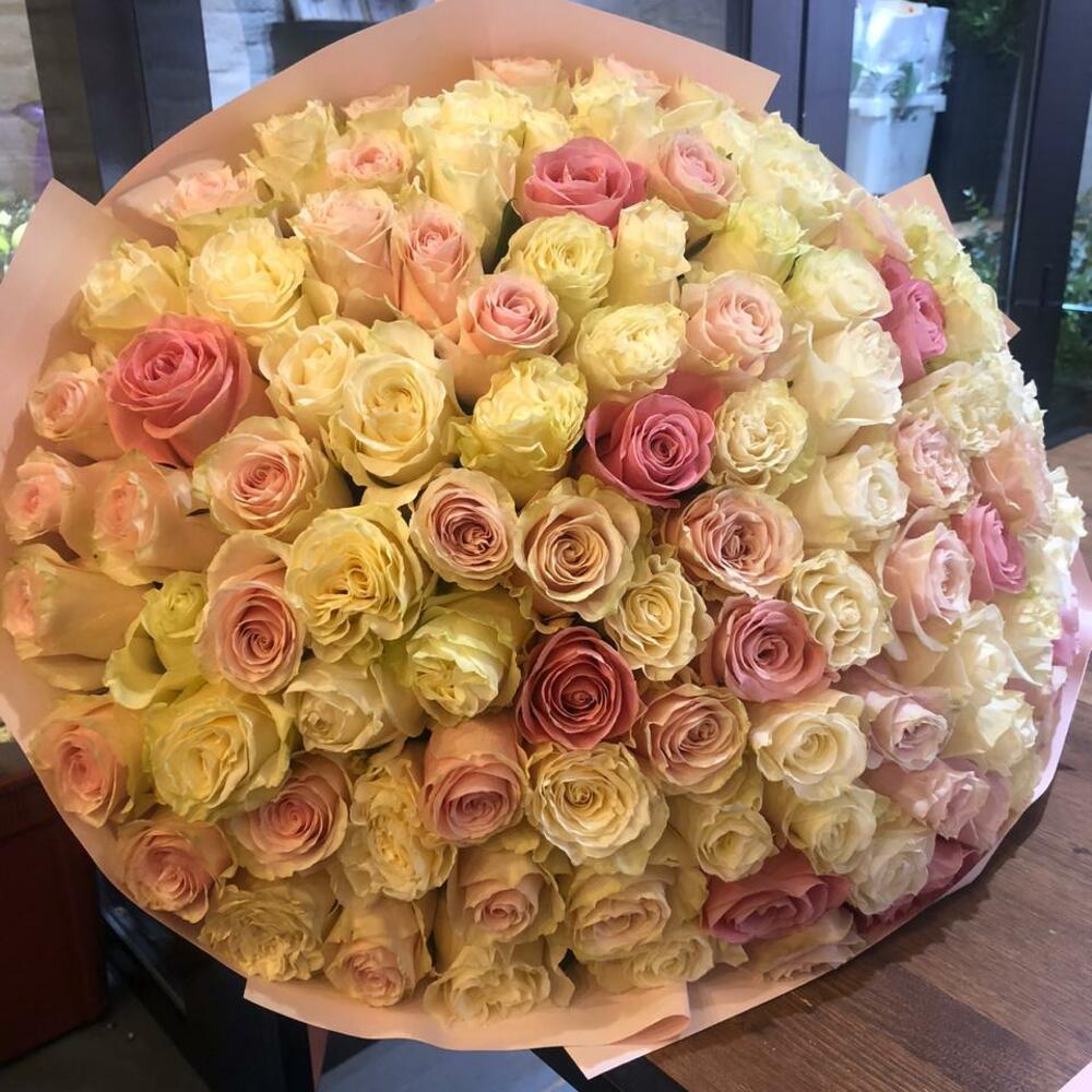 101 роза нежных оттенков