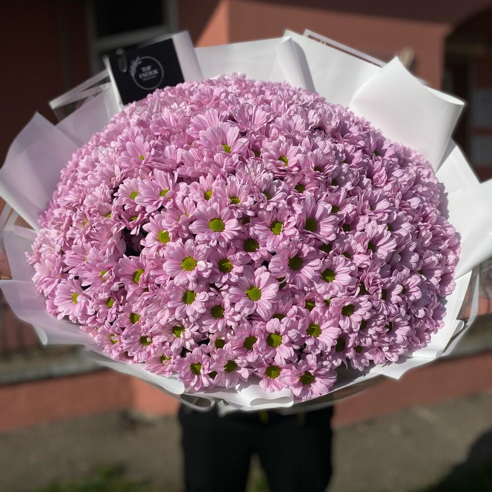 401 розовая ромашка