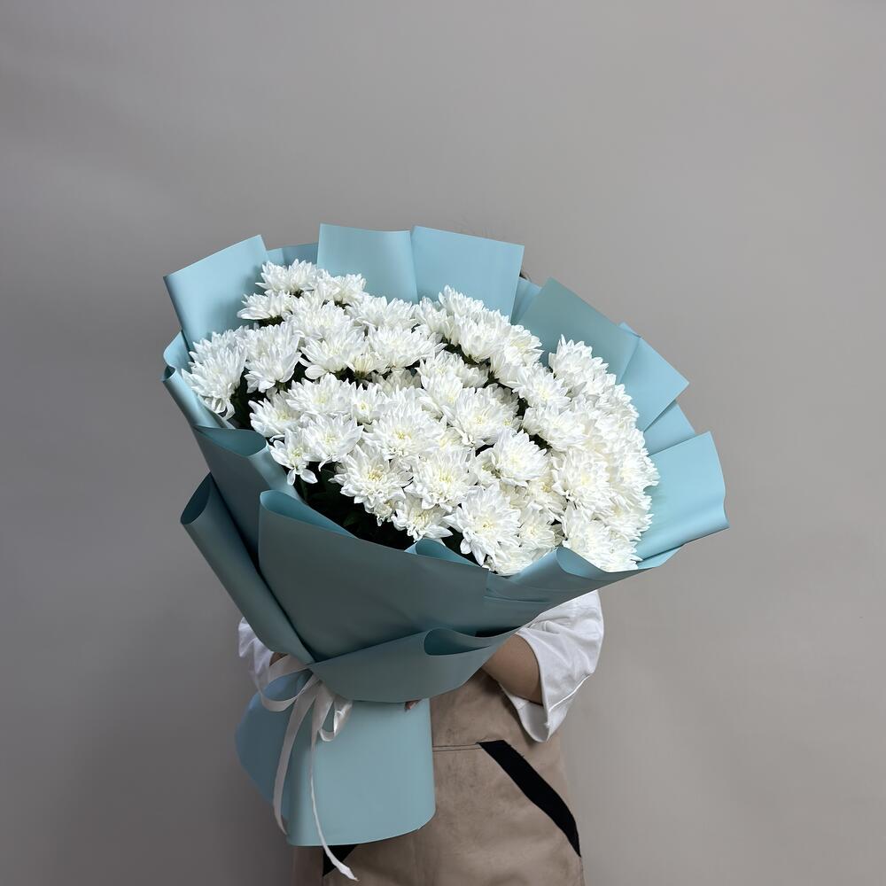 Хризантема ВАУ