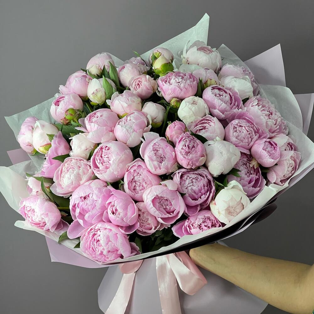 Голландские пионы